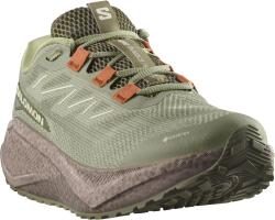 Salomon Aero Blaze 3 Grvl Gore-Tex férfi futócipő Cipőméret (EU): 44 / zöld Férfi futócipő