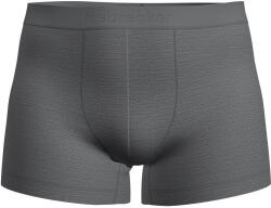 Icebreaker M Mer 125 Cool-Lite Anatomica Boxers férfi boxer XL / szürke