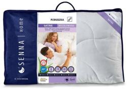  Párna 50×60 SATIN 100% pamut AloeVera Satin (1213616)