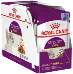 Royal Canin Sensory Smell Jelly Alutasakos Macskaeledel - 12x85 g