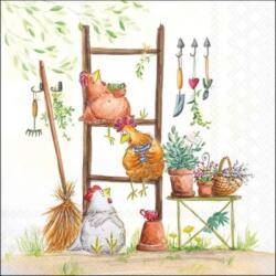 Ambiente Break time papírszalvéta 33x33cm, 20db-os