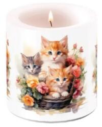 Ambiente Cicás átvilágítós gyertya 8x7, 5cm Kittens in basket