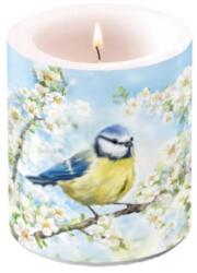 Ambiente Átvilágítós gyertya 10x10cm Blossom time