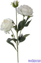  Szálas bazsarózsa 2+1 - Fehér