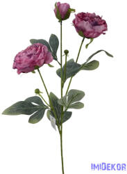  Szálas bazsarózsa 2+1 - Pink