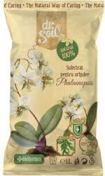 Dr. Soil Substrat pentru Phalaenopsis 1 l (DRS001EEA)