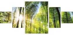 Pure Living Tablou canvas Pure Living Green Forest - 5 părți (SETAN039KA)