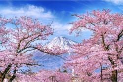 Media Öntapadó és mosható falfestmény Natura162 Mount Fuji és cseresznyevirágok, 250 x 200 cm (FOTOTAP9100)