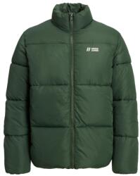 Jack & Jones Férfi dzseki, Jack & Jones, 302663781, poliészter, L INTL, zöld (0000302663781_L)
