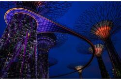 MÉDIA Öntapadó és mosható falfestmény Singapore Park 1, 300 x 200 cm (FOTOTAP4711)