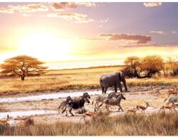 MÉDIA Öntapadó és mosható fali tapéta Savannah animals, 400 x 250 cm (FOTOTAP8518)