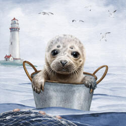  Ti-Flair Szalvéta 33x33 cm 3 Rétegű 20 Lap/Csomag Robbie (AAE570)