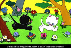 Diafilmgyártó Kft Cikicakk, a fekete cica - Diafilm (5998644104237) - konyvpalota