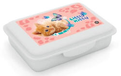 KARTON P+P Cicás uzsonnás doboz kivehető rekesszel, OXY (KPP-3-34426) - officetrade