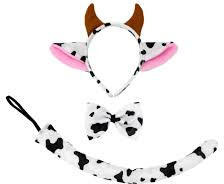 ASTI Boci jelmez 3 részes (01025901000)