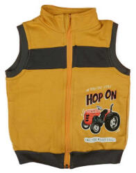Asti Belül bolyhos kisfiú mellény traktor mintával (26223036092)