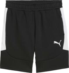 PUMA Teamevostripe Shorts (65995103)