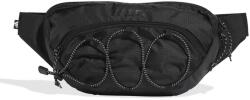ADIDAS Чанта за кръст Terrex Multi Waist Pack