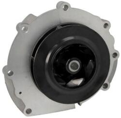 THERMOTEC Pompă de apă, răcire motor THERMOTEC WP-MN159 (WP-MN159)
