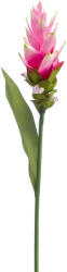 DekorPlaza Szálas Gumi Curcuma Pink 80 Cm 424990