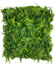 DekorPlaza Növényfal / Páfrány - Eukaliptusz 50x50cm A29246