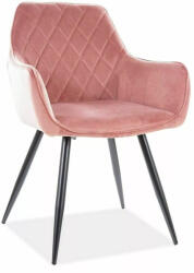 SIGNAL MEBLE Linea Velvet Antik Rózsaszín Bársony Étkezőszék Fekete Fém Lábakkal