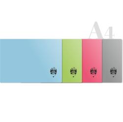DACO Caiet de geografie mare, format A4 Daco CT308 coperta plastic, 24 file, 70 g/mp (CT308)