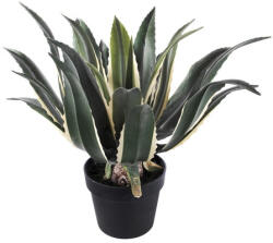 DekorPlaza Cserepes Agave Nagy 50 Cm A26305