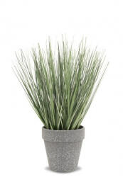 DekorPlaza Dekor Zöld Növény 30 Cm 113438