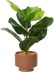 DekorPlaza Cserepes Ficus Fa 12x12x33cm 80_8613