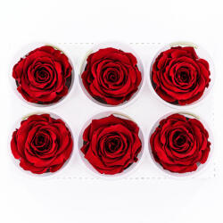 DekorPlaza Rose Amor LL Örökrózsa Fej 6db Vörös RED01 EKF-08244