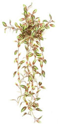 DekorPlaza Élethű Pletykavirág Futónövény Műbokor - Zöld-piros Levelekkel 432088