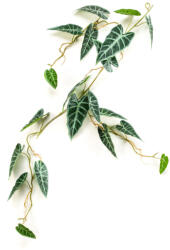 DekorPlaza Selyem Alocasia Girland 110 Cm 428288