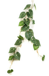 DekorPlaza Selyem Anthoryum/Flamingó/ Levél, girland 110 Cm 428299em