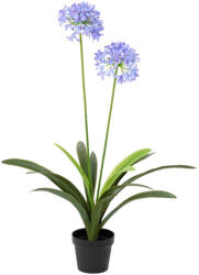 DekorPlaza Élethű Agapanthus Cserépben Lila 80x80x105 Cm 833573