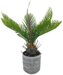 DekorPlaza Műnövény Cycas Kaspóban 27cm A27369
