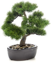 DekorPlaza Fenyő Bonsai 32 Cm, barna Kaspóban 422256