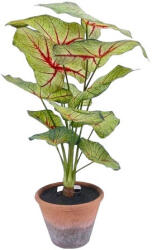 DekorPlaza Élethű Kaládium Cserépben 60cm A27378