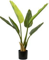 DekorPlaza Cserepes Műnövény Strelicia 40x90cm 80_8457