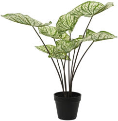 DekorPlaza Élethű Műnövény Caladium Cserépben 40x45 Cm 808438