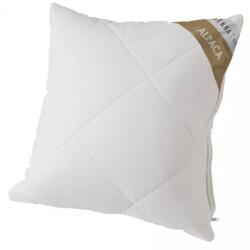Inter-widex ALPACA szabályozott párna 40x40cm, 100% pamut, COMFORTZ granulátum töltet (SHALPPCC40x40B250gTN)