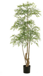 DekorPlaza Élethű Ruscus Műfa 180 Cm - Természetes Hatású Törzzsel, Cserépben 427976