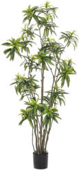 DekorPlaza Élethű Műnövény Dracéna 12 Ágú 210cm Magas 431127