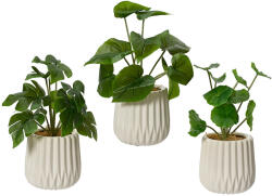 DekorPlaza Kerámiában Cserepes Zöld Műnövény 3 Féle 11x28cm 80_8554