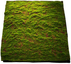 DekorPlaza Moha Csempe 100x100 Cm A22370