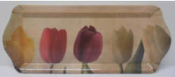 Báthory Tálca zserbós 33x14, 5x2, 5 cm, műanyag, tulipános (SJ17)