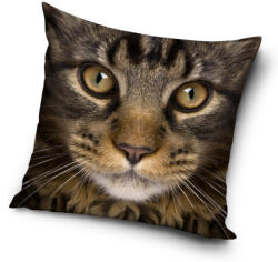  Cicás Golden Gaze párnahuzat 40x40 cm