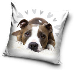  Kutyás Pit Bull Terrier Cute párnahuzat 40x40 cm