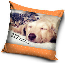  Cicás, Kutyás ZZZ párnahuzat 40x40 cm