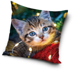  Cicás Cozy Lights párnahuzat 40x40 cm Velúr (CBX241138PNL) - ostore